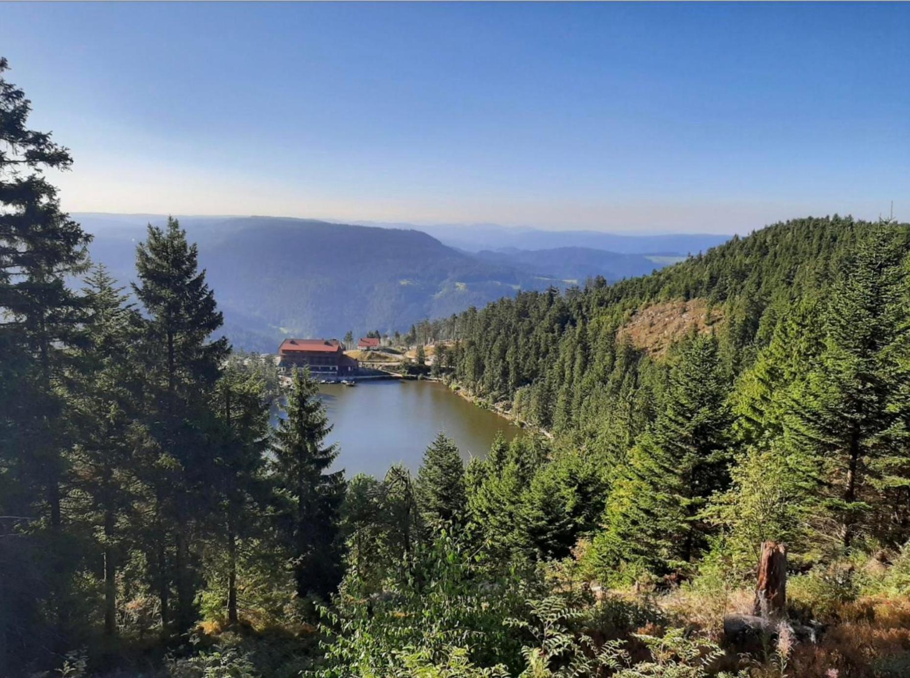 Ferienwohnung Schwarzwald Tannenzaepfle Баїрсбронн Екстер'єр фото