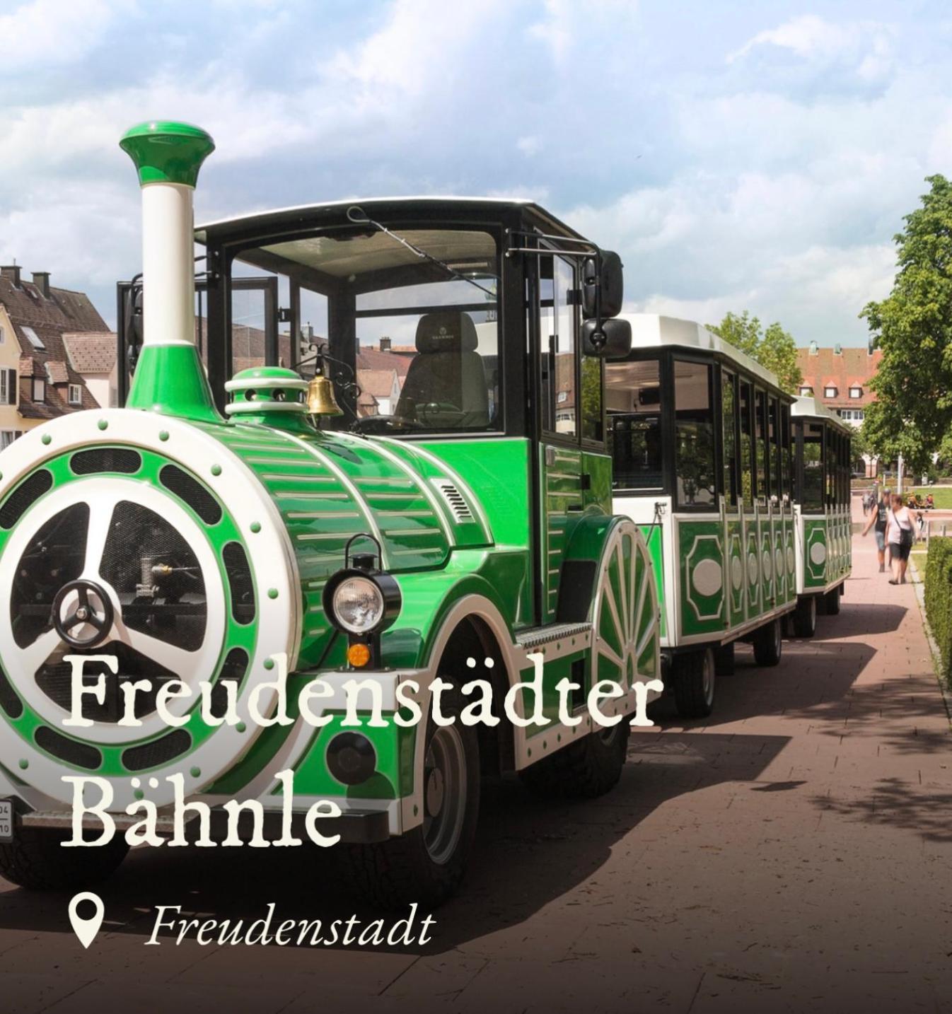Ferienwohnung Schwarzwald Tannenzaepfle Баїрсбронн Екстер'єр фото