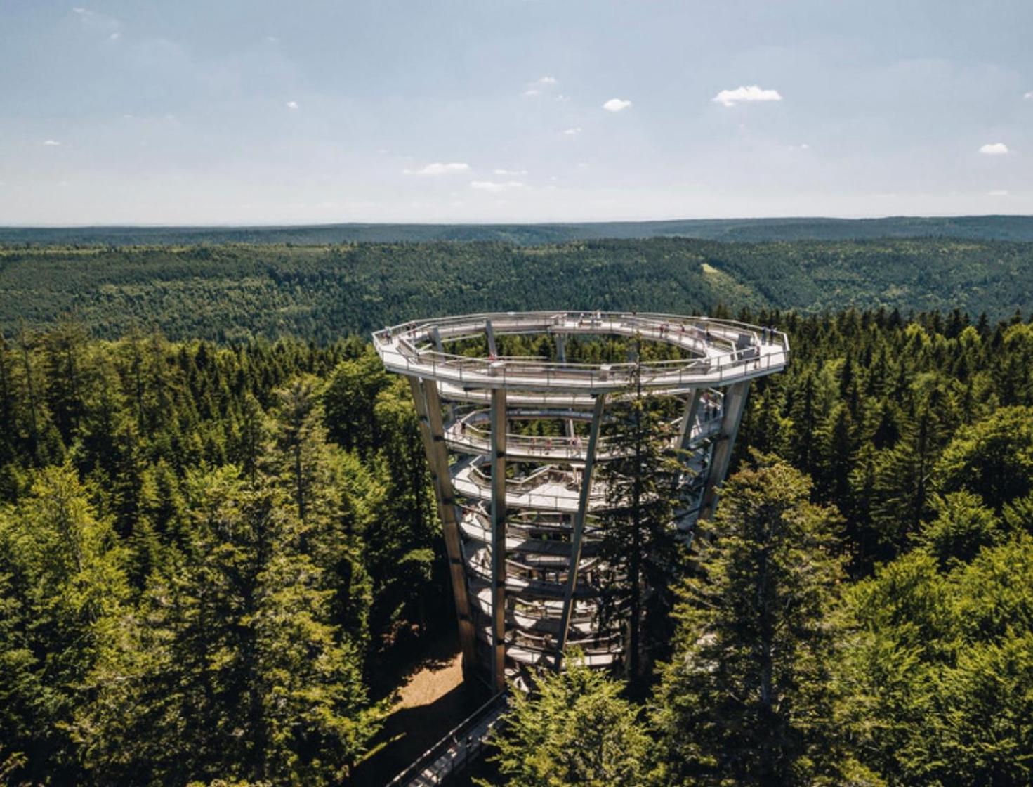 Ferienwohnung Schwarzwald Tannenzaepfle Баїрсбронн Екстер'єр фото