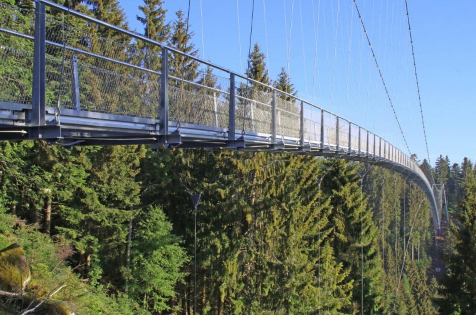 Ferienwohnung Schwarzwald Tannenzaepfle Баїрсбронн Екстер'єр фото