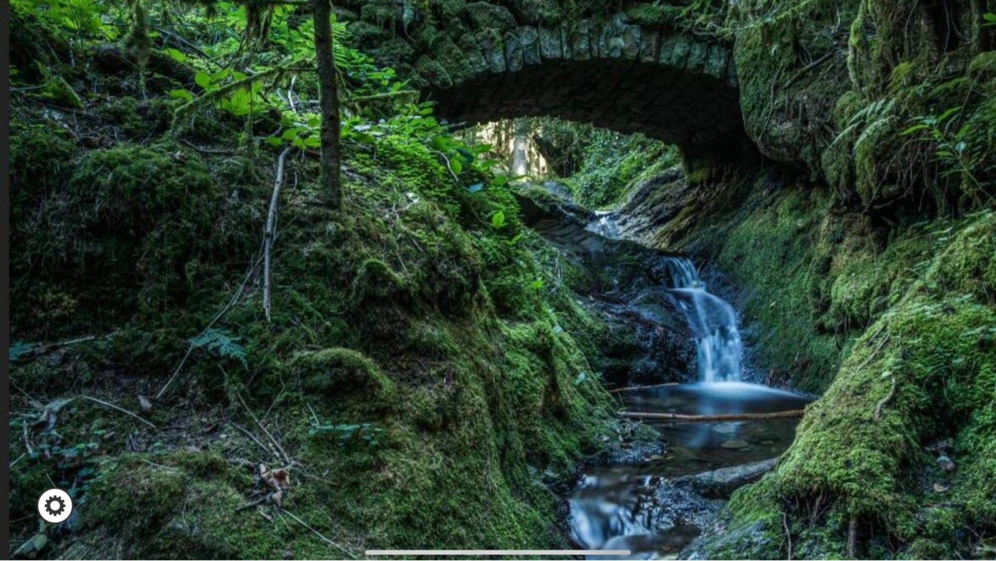 Ferienwohnung Schwarzwald Tannenzaepfle Баїрсбронн Екстер'єр фото