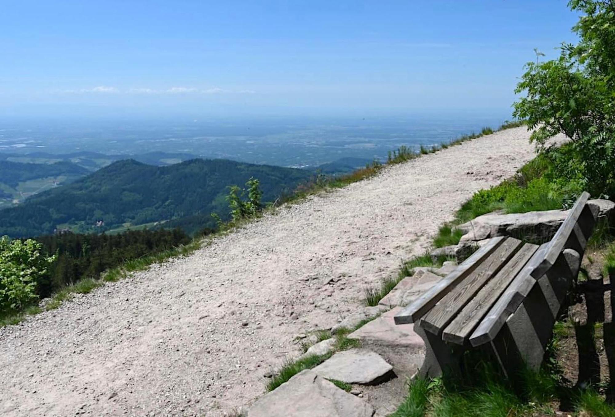 Ferienwohnung Schwarzwald Tannenzaepfle Баїрсбронн Екстер'єр фото
